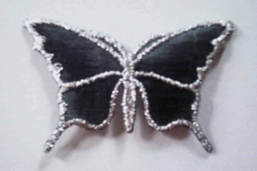 Sheer Black/Silver Metallic Applique