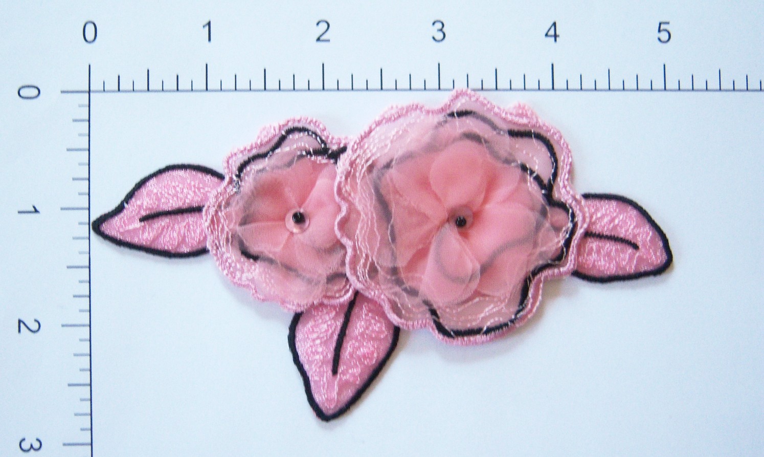 Pink/Black Bead 5" Iron On Applique