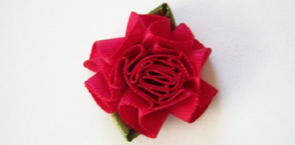 Garnet/Fern Loop Carnation