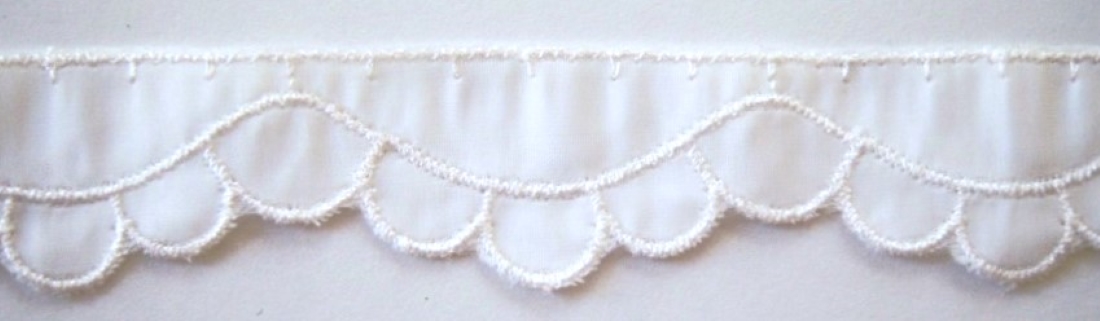 Off White Embrd 1" Taffeta