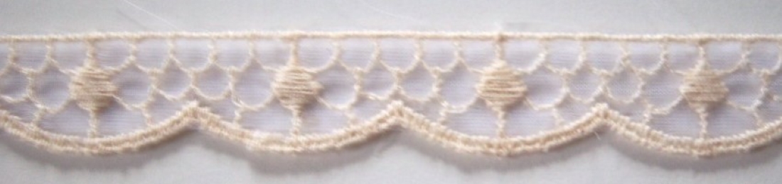 Natural 5/8" Scallop Trim