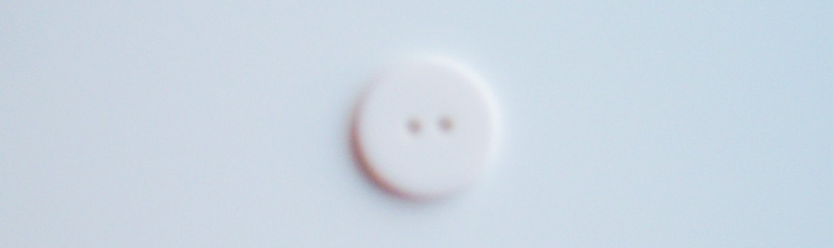 White Shiny 3/4" Poly 2 Hole Button