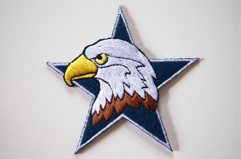 Bald Eagle Head in Navy Star Iron On Applique