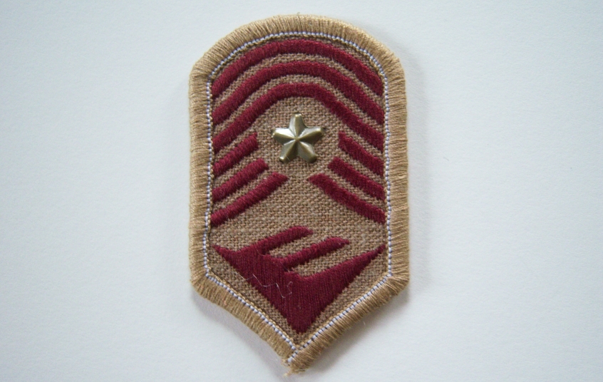 Military Emblem Iron On Applique