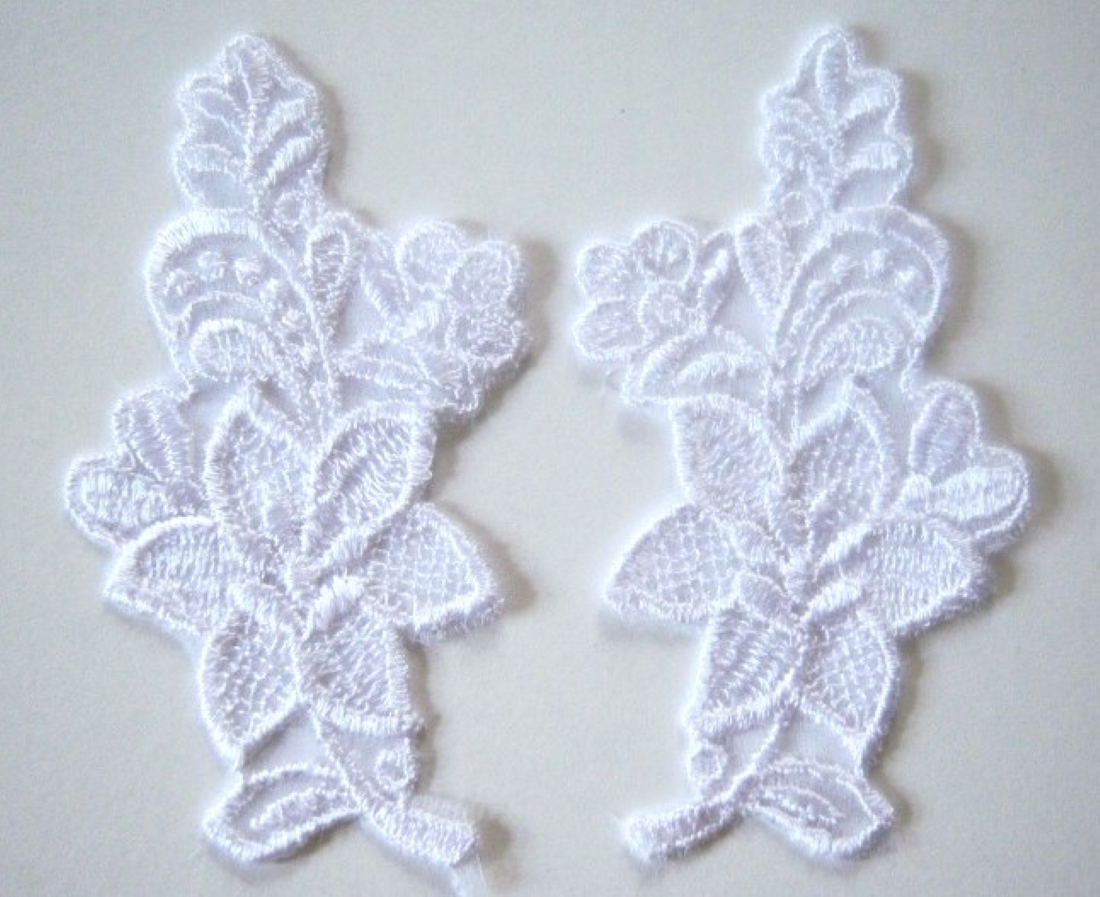 White Embroidered Organza Pair