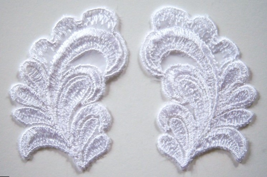 White Embroidered Organza Pair