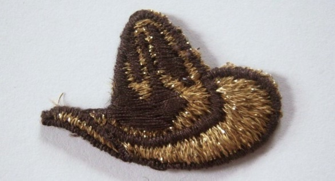 Brown/Gold Metallic Hat