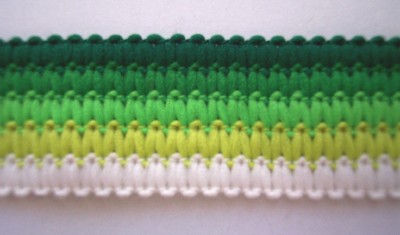 Green Stripe 1" Braid